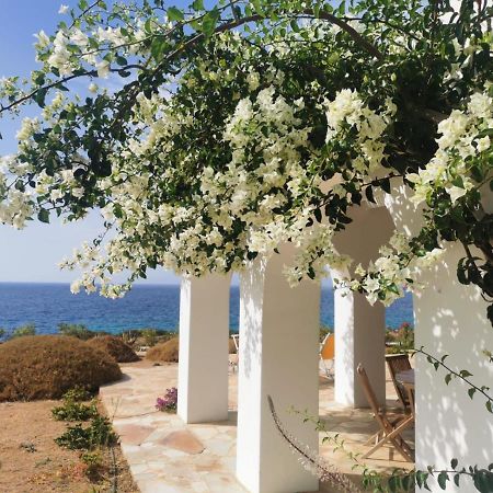 Villa Bravo Karpathos Town  Exterior photo